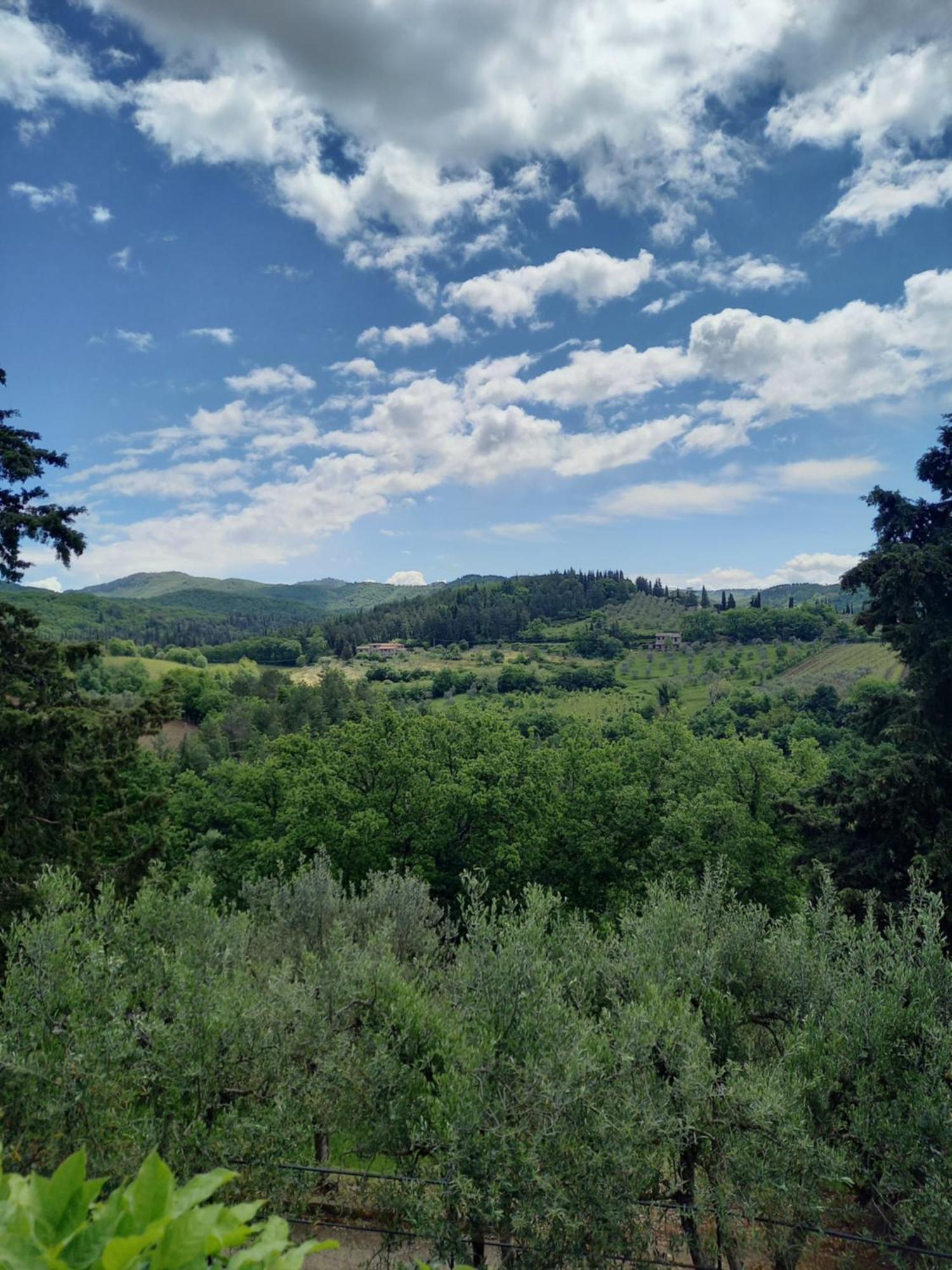 Capannelle Wine Resort Gaiole in Chianti Exterior foto